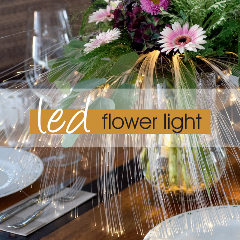 Flower-Light2
